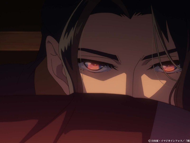 The Apothecary Diaries S2 Eps 40-42: Festering Resentment/ The Fox Village/ Lantern&nbsp;Plant